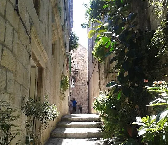 Guest house Milion 3*