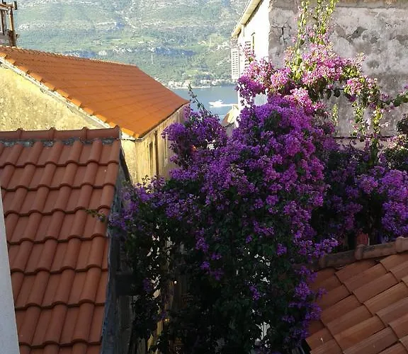 Guest house Milion